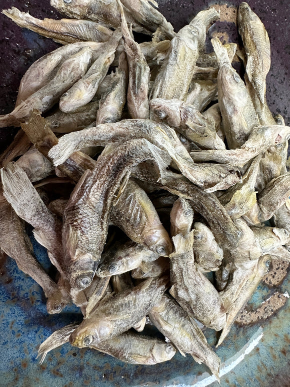 Minnows - Krazy K9 Cookies